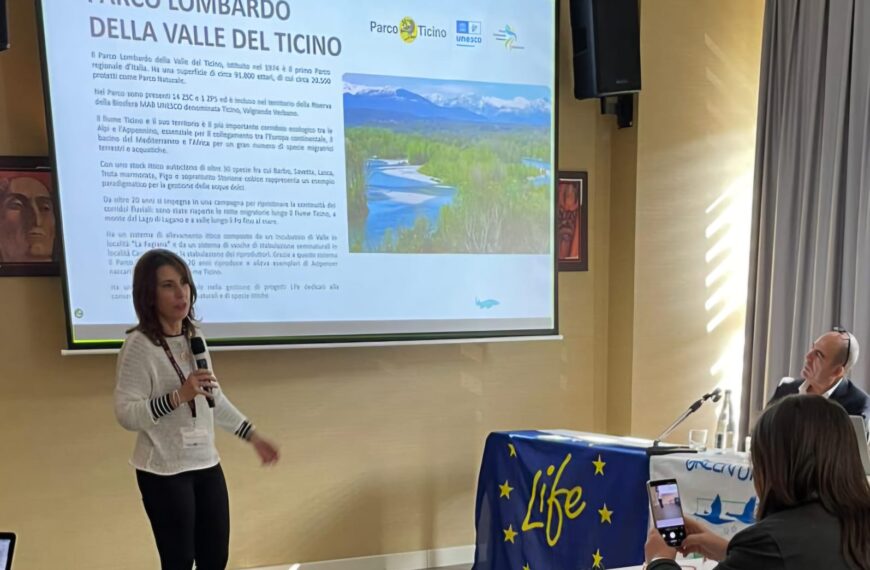 Parco del Ticino: ‘Life restore’, un nuovo progetto per la tutela dello storione cobice