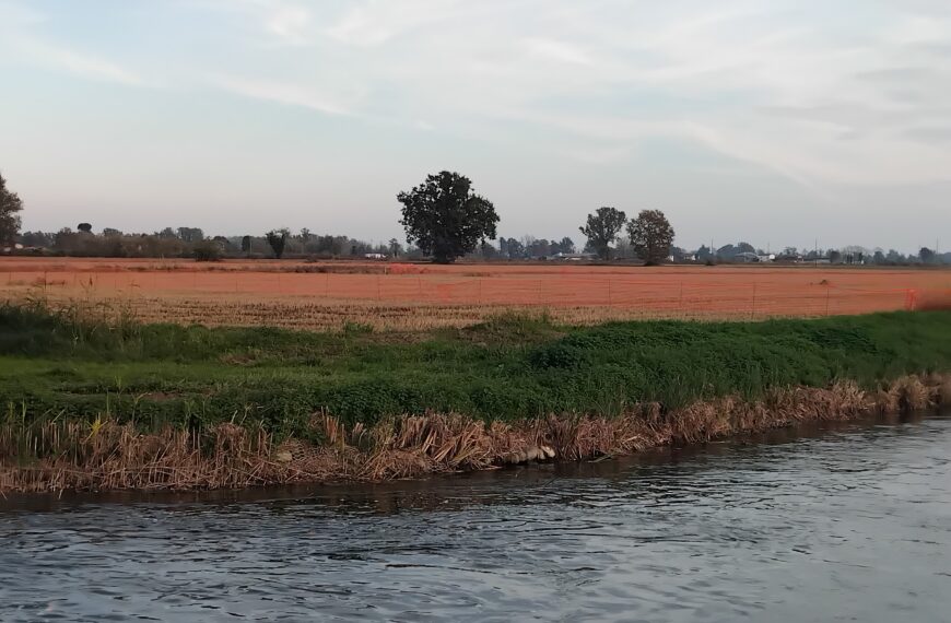 La Corte Europea dei Diritti dell’Uomo dichiara ammissibile il ricorso dei comitati No Tangenziale: tutelati i diritti di cittadini e ambiente