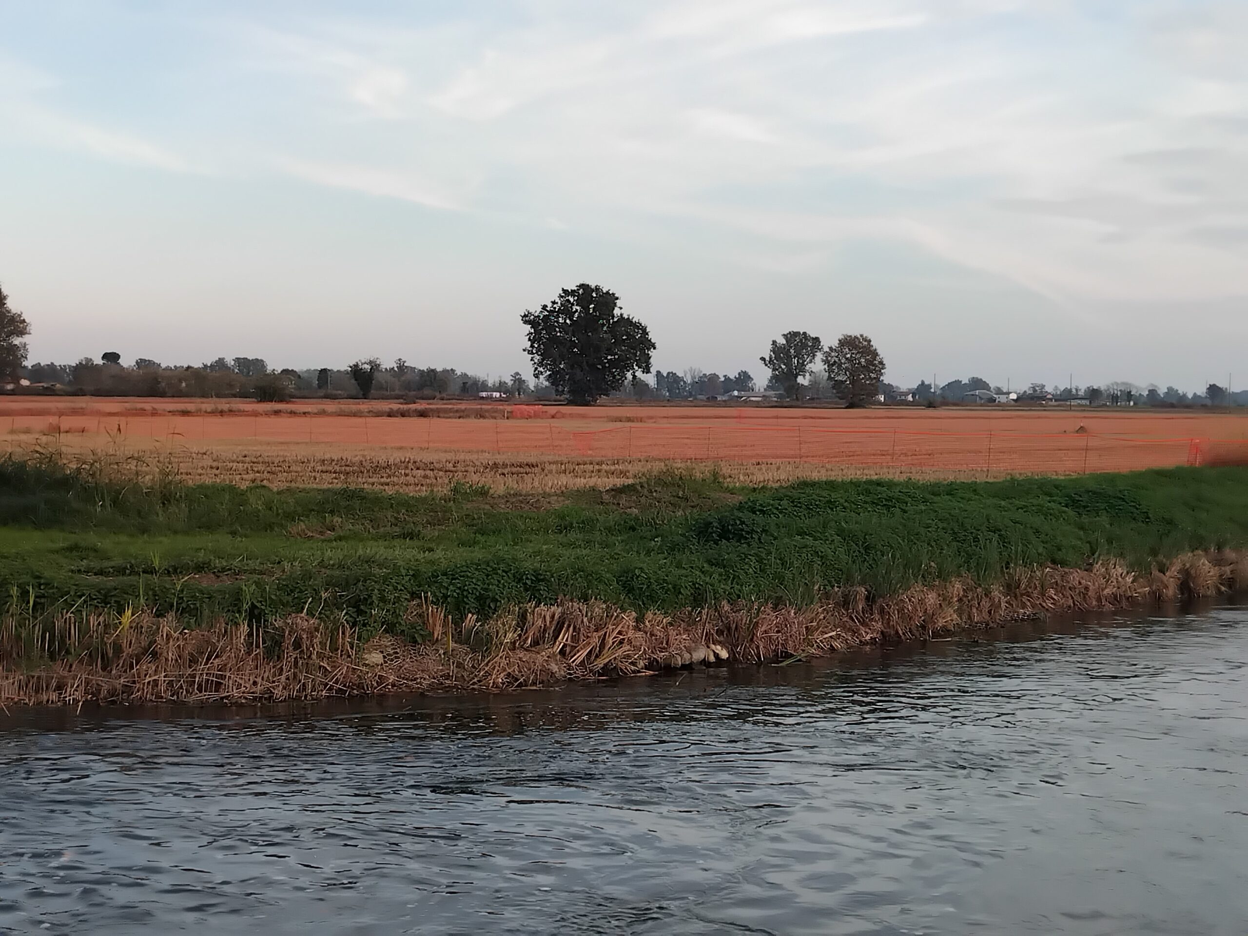 La Corte Europea dei Diritti dell’Uomo dichiara ammissibile il ricorso dei comitati No Tangenziale: tutelati i diritti di cittadini e ambiente